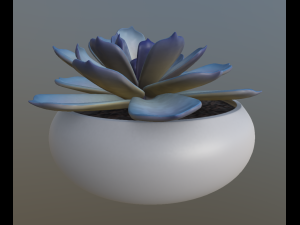 flower with 4 different texture variations 3Dモデル
