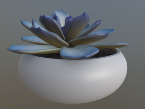 flower with 4 different texture variations 3Dモデル