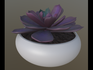 flower with 4 different texture variations 3Dモデル