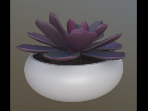 flower with 4 different texture variations 3Dモデル