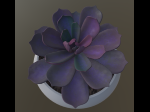 flower with 4 different texture variations 3Dモデル