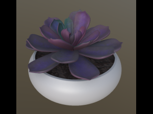 flower with 4 different texture variations 3Dモデル