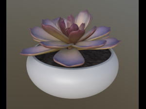 flower with 4 different texture variations 3Dモデル