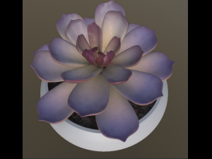 flower with 4 different texture variations 3Dモデル