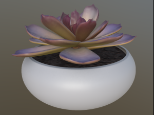 flower with 4 different texture variations 3Dモデル