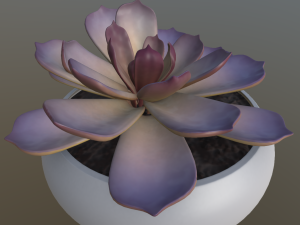 flower with 4 different texture variations 3Dモデル