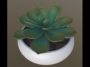 flower with 4 different texture variations 3Dモデル