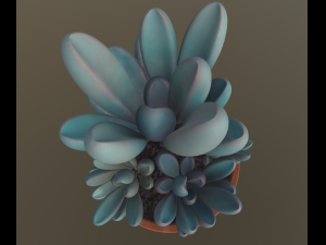 flower with 2 different texture variations 3D Model