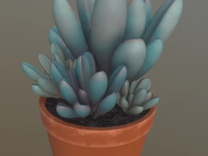 flower with 2 different texture variations 3D Model