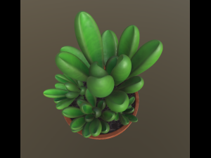 flower with 2 different texture variations 3D Model
