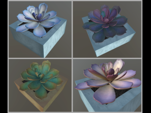 flowers with 4 different textures variation 3D Model