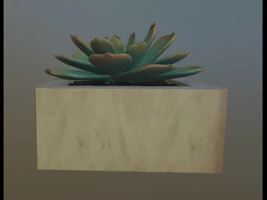 flowers with 4 different textures variation 3D Model