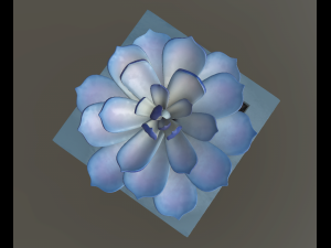 flowers with 4 different textures variation 3Dモデル