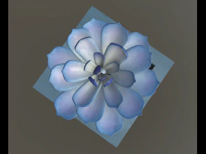 flowers with 4 different textures variation 3D Model