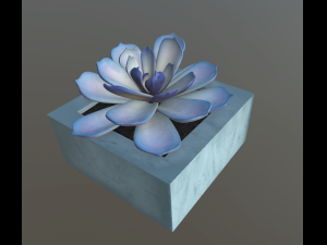 flowers with 4 different textures variation 3Dモデル