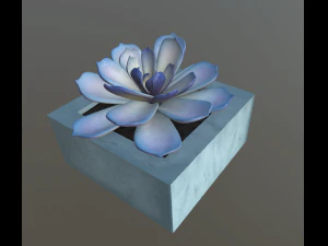 flowers with 4 different textures variation 3D Model
