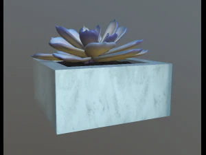 flowers with 4 different textures variation 3D Model