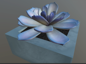 flowers with 4 different textures variation 3Dモデル