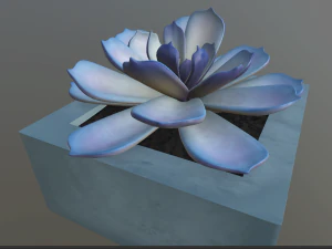 flowers with 4 different textures variation 3D Model