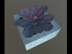 flowers with 4 different textures variation 3D Model