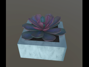 flowers with 4 different textures variation 3Dモデル