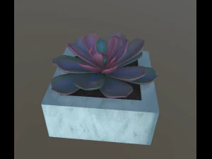 flowers with 4 different textures variation 3D Model