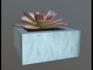 flowers with 4 different textures variation 3Dモデル