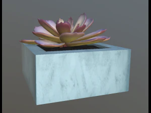 flowers with 4 different textures variation 3D Model