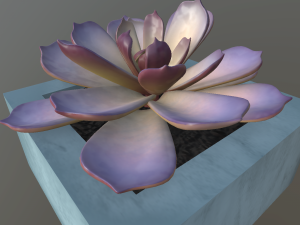 flowers with 4 different textures variation 3Dモデル