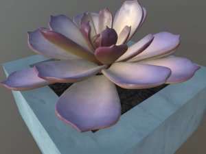 flowers with 4 different textures variation 3D Model