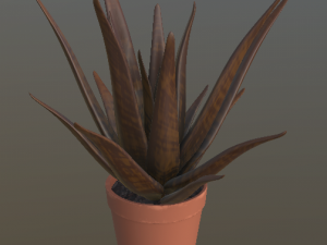 flower with 2 different texture variations 3D Model
