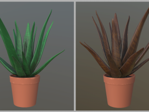 flower with 2 different texture variations 3D Model