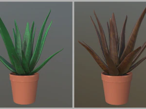 fiore con 2 diverse varianti di texture Modello 3D