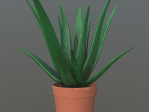flower with 2 different texture variations 3D Model