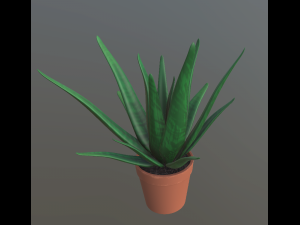 flower with 2 different texture variations 3D Model