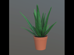 flower with 2 different texture variations 3D Model