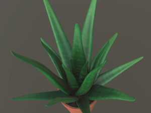 flower with 2 different texture variations 3D Model