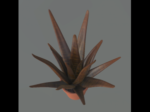 flower with 2 different texture variations 3D Model
