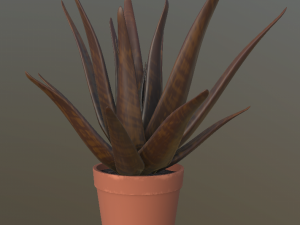 flower with 2 different texture variations 3D Model