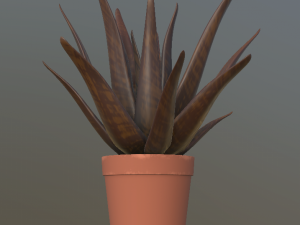 flower with 2 different texture variations 3D Model