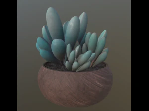 flower with 2 different texture variations 3D Model