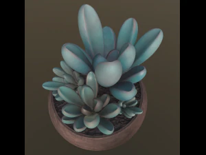 flower with 2 different texture variations 3D Model