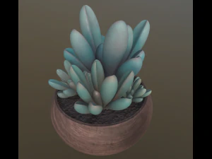 flower with 2 different texture variations 3D Model