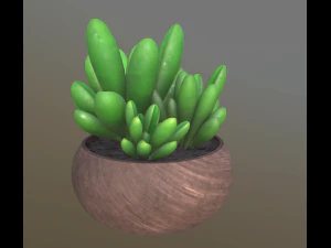 flower with 2 different texture variations 3D Model