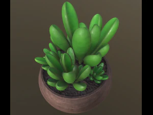 flower with 2 different texture variations 3D Model