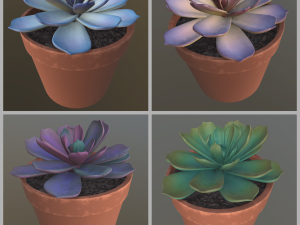 flower with 4 different texture variations 3D Model