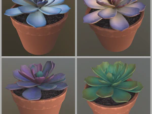 fiore con 4 diverse varianti di texture Modello 3D