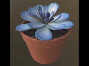 flower with 4 different texture variations Modèle 3D