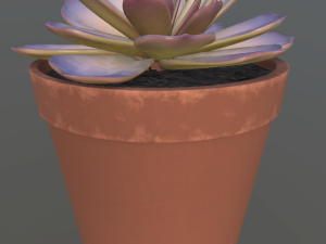flower with 4 different texture variations Modèle 3D