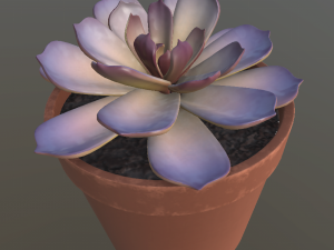 flower with 4 different texture variations Modèle 3D